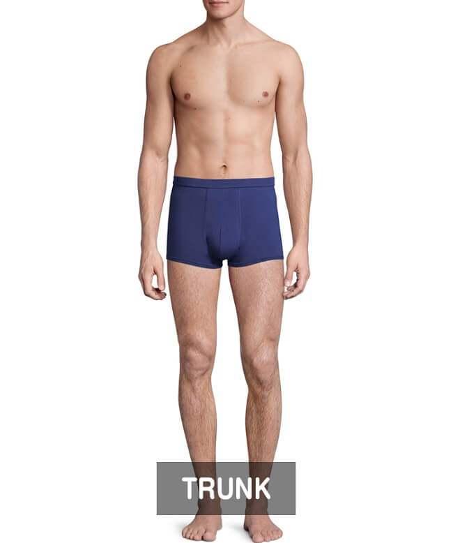 Best Types of Underwear for Men to Buy Online TopOfStyle Blog