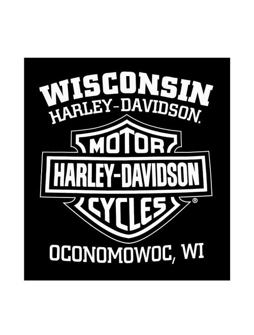 Men's Shirt, Hand Made Willie G Skull Long Sleeve 30294032, Harley Davidson