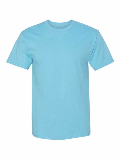 Hanes 5250 -Men's Tagless T-Shirt