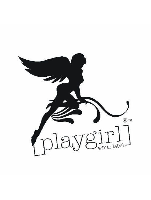 Playgirl Label 4 Layer Reinforced 26 Steel Boned Waist Training Shaper Corset