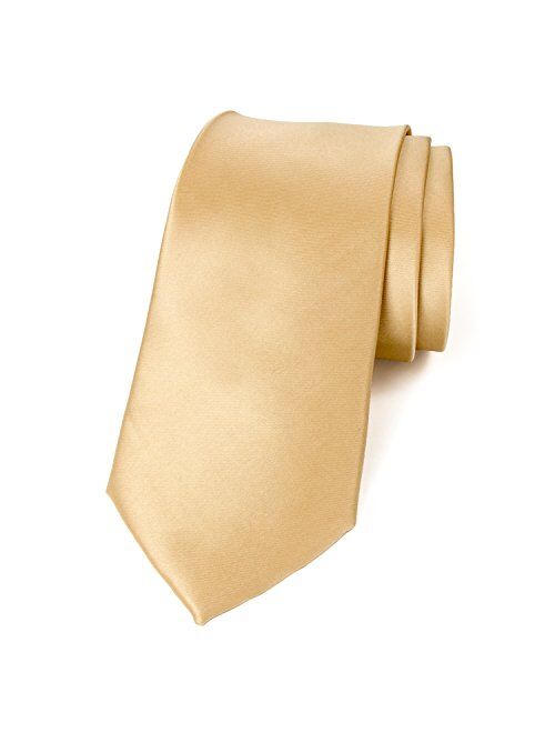 Spring Notion Men's Solid Color Satin Microfiber Tie, Regular and Skinny Width