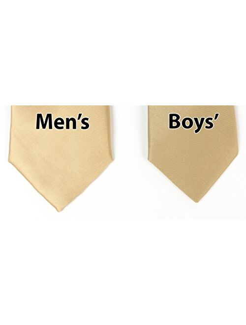 Spring Notion Men's Solid Color Satin Microfiber Tie, Regular and Skinny Width