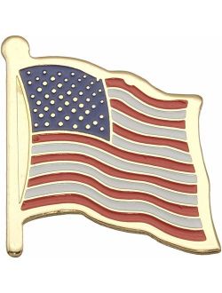 US Flag Store USA Flag Lapel Pin Standard Flag Series 3 with Longer Pole
