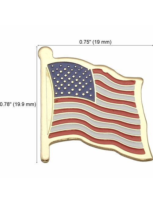 US Flag Store USA Flag Lapel Pin Standard Flag Series 3 with Longer Pole