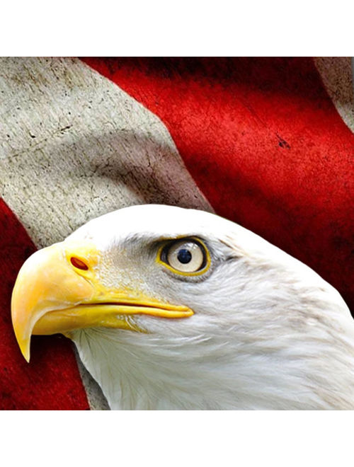 Flag Ties Mens Patriotic Eagle Necktie by Three Rooker
