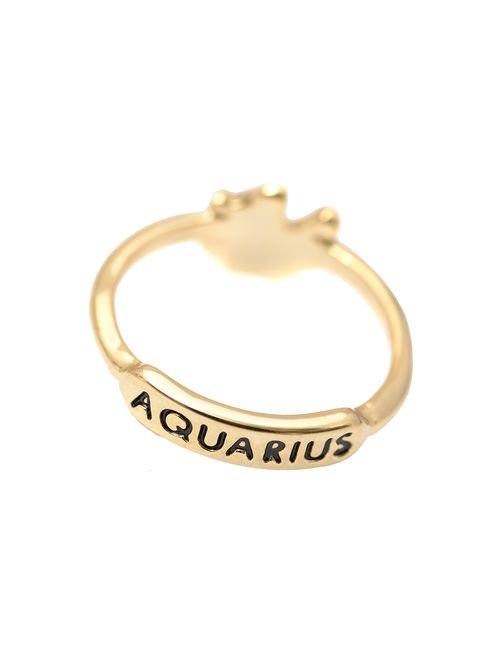 chelseachicNYC Zoidac Sign and Letter Constellation Ring