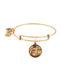 Zodiac II Expandable Wire Bangle Bracelet