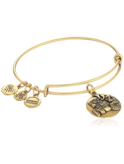 Zodiac II Expandable Wire Bangle Bracelet