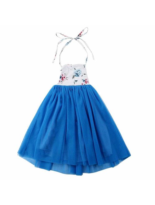 QIJOVO Baby Girls Backless Floral Floor Length Vintage Maxi Dress Tulle for Wedding Party Birthday