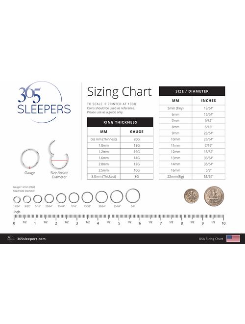 365 Sleepers 1 Pair Stainless Steel 5/16" (8mm) 16G Hinged Segment Ring Silver Black Rose Yellow Rainbow Blue Hoop Sleeper Earrings Body Piercing