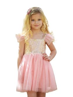 Heart to Heart Birthday Dress for Little Girls Princess Ballerina Party