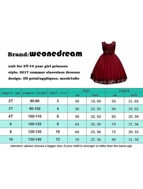 WEONEDREAM Flower Girl Pageant Dress Girls Elegant Lace Tulle Baptism Wedding Princess Gown Party Dresses