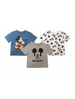 Boys 3-Pack T-Shirts: Wide Variety Includes Lion King, Cars, Mickey Mouse