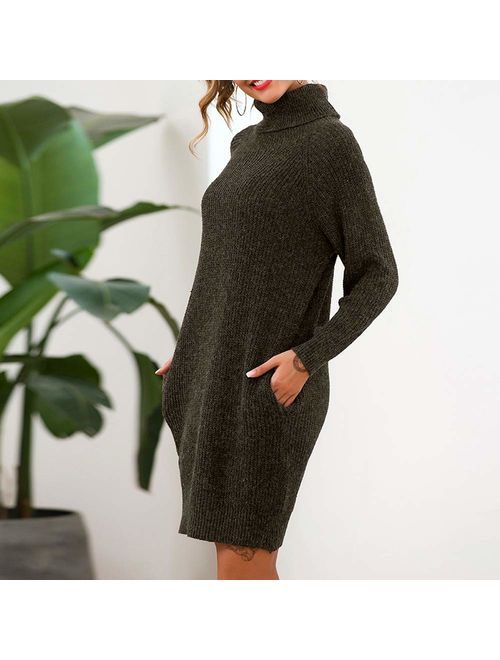 Exlura Women's Loose Turtleneck Long Sleeve Knit Pullover Sweater Dress with Pockets