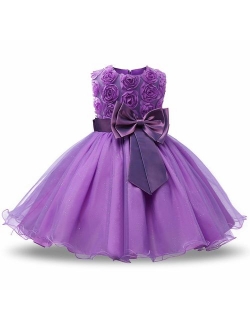Girl Sleeveless Lace 3D Flower Tutu Holiday Princess Dresses