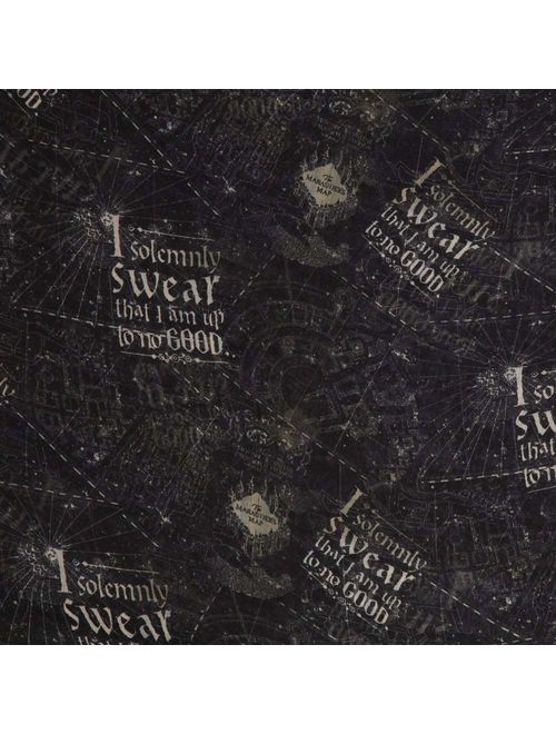 Bioworld Harry Potter Map Infinity Fashion Scarf, Black, Standard