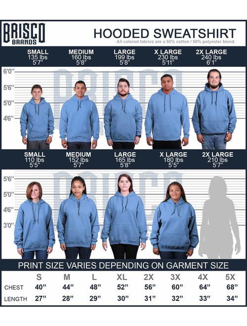 Brisco Brands Utah The Great Salt Lake City Pullover Hoodie Sweatshirt