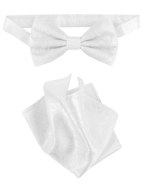 Vesuvio Napoli BowTie White Paisley Color Mens Bow Tie & Handkerchief