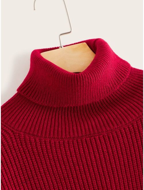 Shein Turtle Neck Rib-knit Sweater