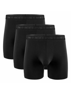 Men's 3 Pack Underwear Micro Modal Separate Pouches Boxer Briefs with Fly