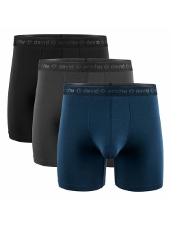 Men's 3 Pack Underwear Micro Modal Separate Pouches Boxer Briefs with Fly
