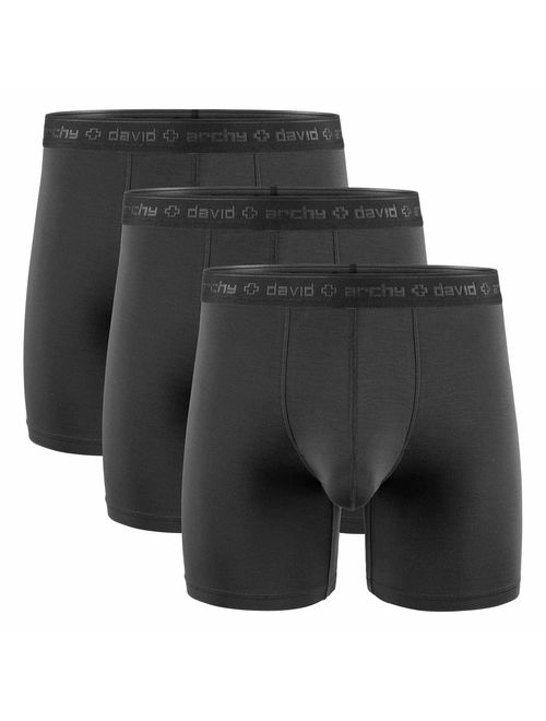 David Archy Men's 3 Pack Underwear Micro Modal Separate Pouches Boxer Briefs with Fly
