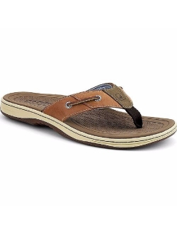 Men's Baitfish Thong Sandal
