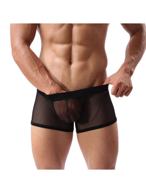 Men's Underwear Sexy Mesh Breathable Boxer Briefs Low Rise Cool Boxers Pack Set
