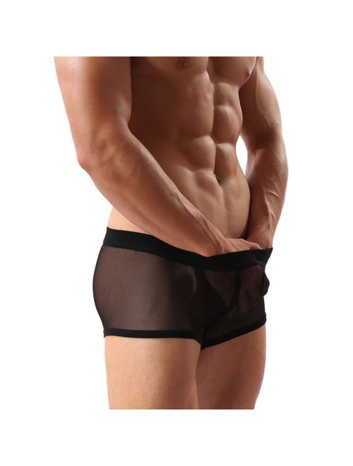 Men's Underwear Sexy Mesh Breathable Boxer Briefs Low Rise Cool Boxers Pack Set