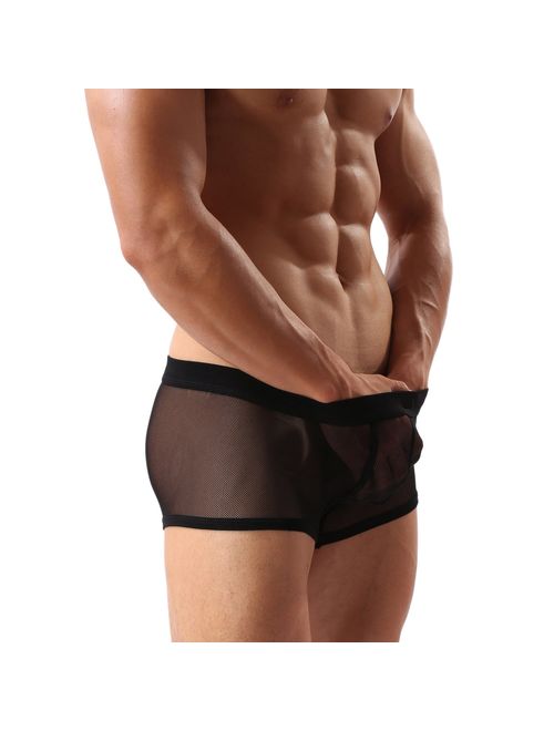 Men's Underwear Sexy Mesh Breathable Boxer Briefs Low Rise Cool Boxers Pack Set