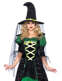 Women's 2 Piece Storybook Witch Costume
