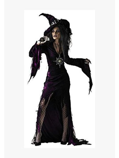 Disguise Women's Sorceress Costume