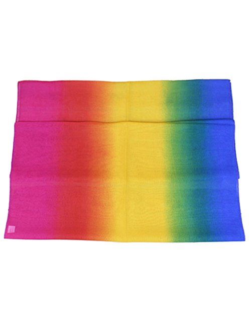 Aven Accessories Aven Women Charming Silk Georgette Long Scarf Shawl Wrap Color Rainbow, Medium