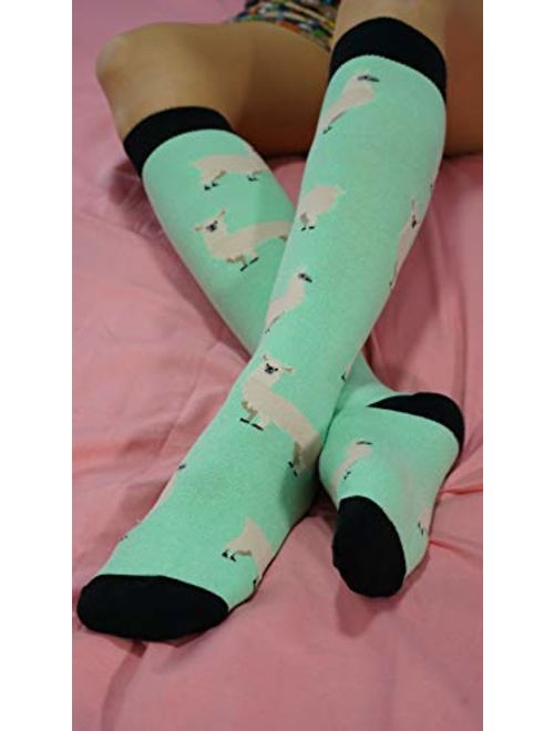 Socks n Socks-Women 5-Pairs Luxury Cotton Colorful Cool Fun Knee high Socks