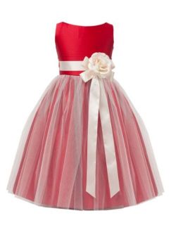 Baby Toddler Flower Girl Vintage Satin Tulle Special Occasion Dress - 11 Colors