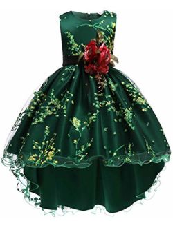 Shiny Toddler Little/Big Girls Pleated Beaded High-Low Applique Embroidered Flower Girl Pageant Dance Party Dress