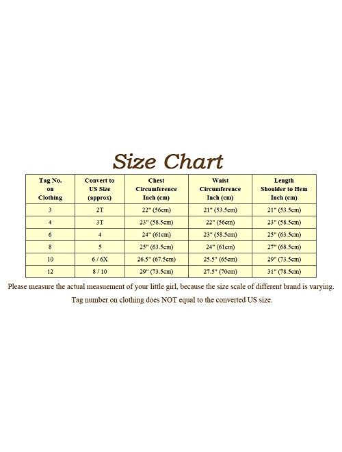 Dressy Daisy Girls' Sequined Tulle Dress Wedding Flower Girl Pageant Occasion