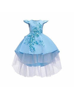 Little Girls Handmade Flower High Low Dress Birthday Party Fancy Lace Princess Costume Dance Ball Gown