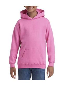 Heavy Blend Hooded Sweatshirt (G185B)
