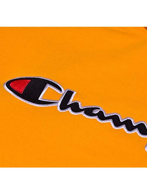 Champion Hoodie Men Big and Tall Embroidered Pullover Champion Hoodies Sweatshirt