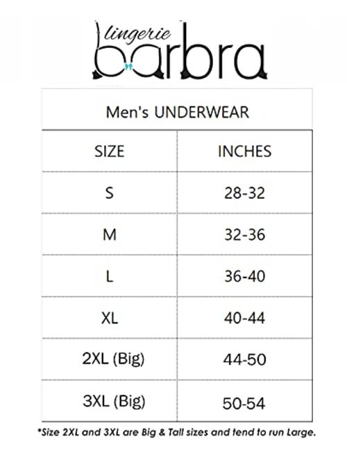 Barbra Mens Satin Bikini Briefs Panties S to 3XL Silky Sexy Mens Underwear 6 Pack