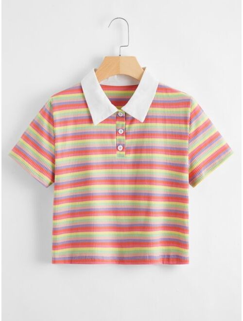 Shein Colorful Striped Contrast Polo Neck Tee
