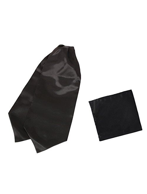 Dan Smith Men's Fashion Floral Men's Cotton Cravat Hanky Set Ascot Tie 