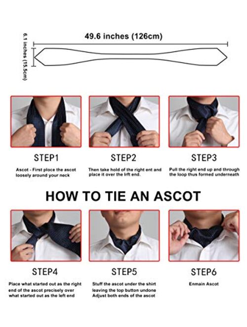 HISDERN Men's Floral Paisley Jacquard Woven Self Cravat Tie Ascot