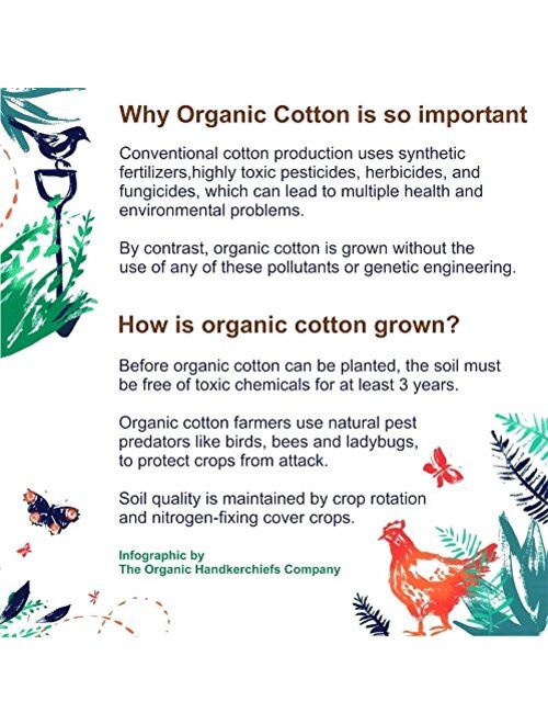 Organic Handkerchiefs Co, Mens Hankies, Organic Cotton, 14 inch, Pack of 3