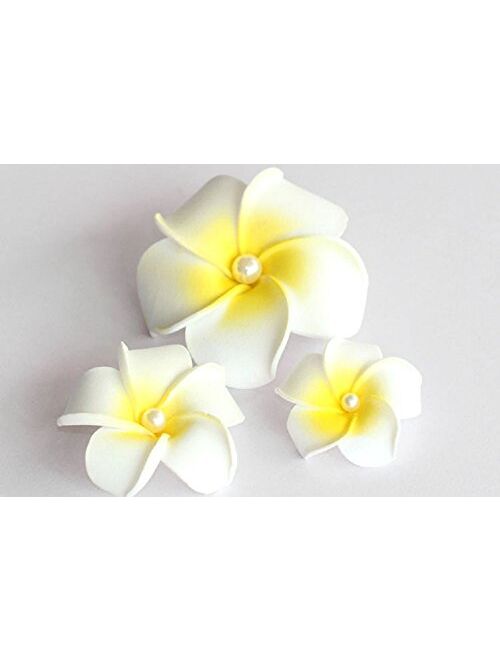 DreamLily Women's Fashion 3 Pcs Hawaiian White Plumeria Flower Foam Hair Clip Balaclavas for Beach