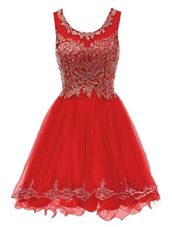 WDING Short Prom Dresses For Juniors Lace Appliques Tulle Homecoming Dress