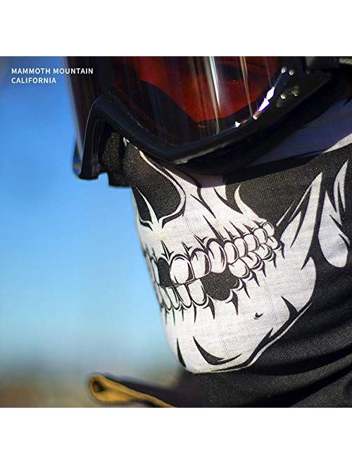 Indie Ridge Skull Outdoor Motorcycle Mask Ski Snowboard Mask Seamless Headwear Black