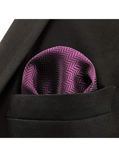 SHLAX&WING Solid Purple Neckties Silk Ties for Men Business