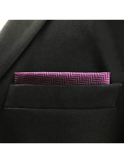 SHLAX&WING Solid Purple Neckties Silk Ties for Men Business
